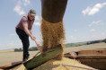 Exportaes agropecurias devem ser pouco impactadas por pandemia
