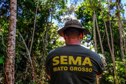 Ferramenta permite consulta pblica dos alertas de desmatamento