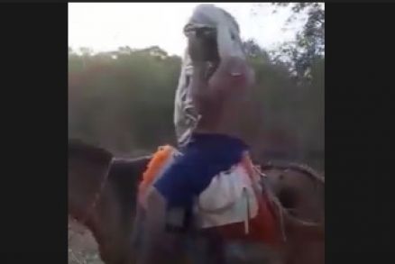 Vtima percorreu trecho em cima de um cavalo por mais de uma hora para buscar socorro