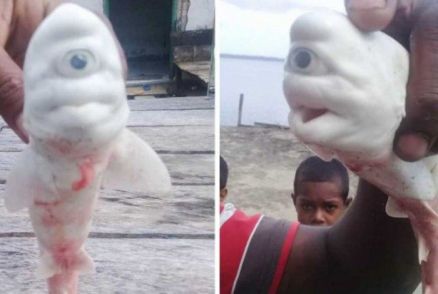 Animal foi encontrado por pescadores na Indonsia