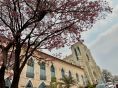 Secel seleciona organizao para gesto compartilhada do Museu de Arte Sacra do Mato Grosso
