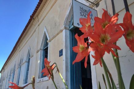 Novo termo de colaborao do Museu de Histria Natural ter investimento de R$ 5 milhes