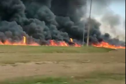 Infratores destruiram uma rea total de 397,00 hectares de vegetao com uso do fogo sem autorizao