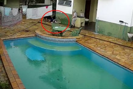 Os cachorros pularam em cima e derrubaram mulher no quintal