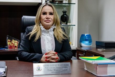 A juza Clia Regina Vidotti, da Vara Especializada em Aes Coletivas 