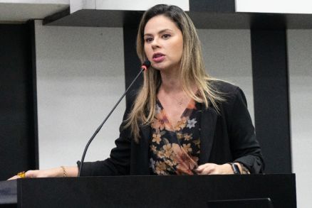 A vereadora Michelly Alencar: crtica  postura do Parlamento