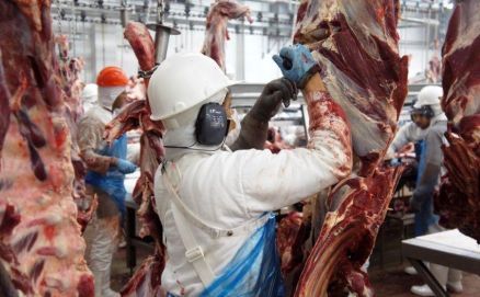 Trabalhador manuseia carne em frigorfico em Mato Grosso
