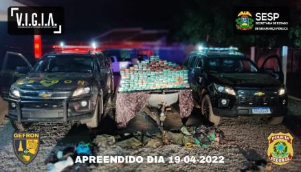 Droga apreendida s margens do rio Paraguai 
