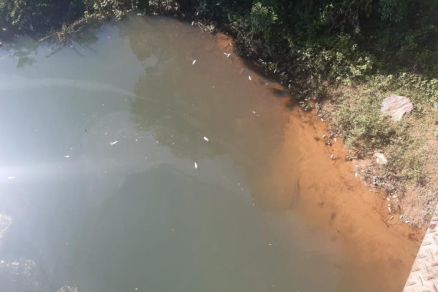 Peixes dilacerados foram encontrados no Rio Manso, em Chapada dos Guimares