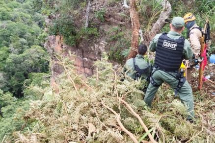 Equiopes da Ciopaer e do Corpo de Bombeiros realizaram o resgate 