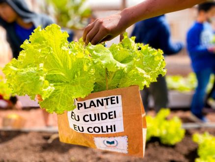 Os conte�dos das aulas, que s�o mais abstratos, com o uso da horta deixam o aprendizado mais significativo