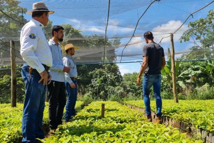 Produ��o que respeita o meio ambiente recupera �reas degradas