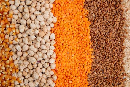 Arroz e feijo perdem espao nas lavouras para gros usados em rao