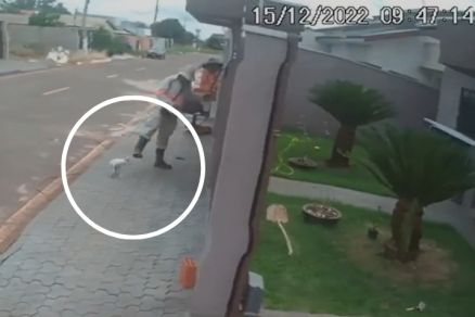 Momento em que funcionrio chuta o co (no crculo)