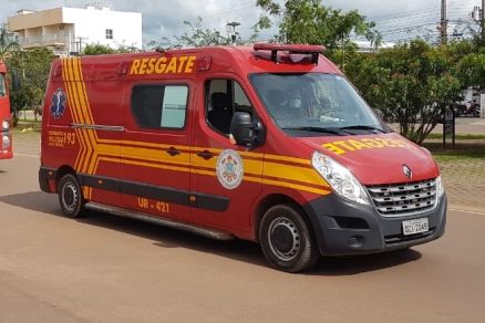 O Corpo de Bombeiros resgatou o animal aps o ataque