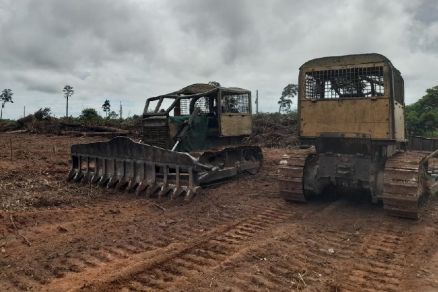 A operao conjunta  realizada por equipes da Secretaria de Estado do Meio Ambiente (Sema), Polcia Civil, por meio da Delegacia Especializada de Meio Ambiente (Dema), e Polcia Militar, por meio do Batalho de Operaes Especiais (Bope)