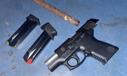 A arma Taurus calibre 380, da srie Millennium, usada no duplo homicdio