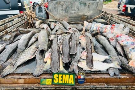 Peixes apreendidos pela fiscalizao ambiental