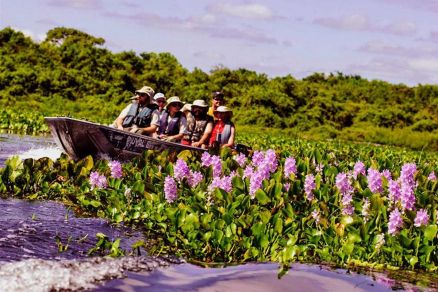 Pantanal  o lugar favorito dos visitantes de outros pases