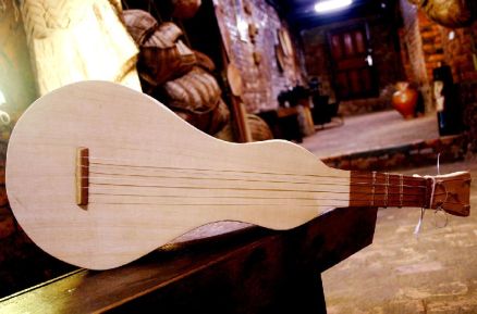 Viola de cocho