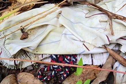 Parte de uma roupa que pode ser do rapaz