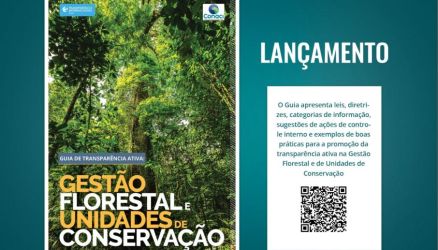 Ilustrao