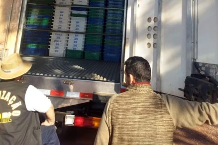 Agente do Indea em Barra do Gara fiscaliza carga de pescado que passava pela BR-070