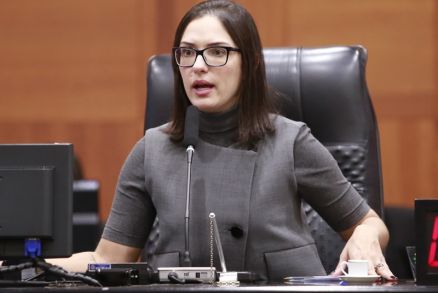 A presidente interina da Assembleia, Janaina Riva, que falou sobre denncia de Wilson Santos 