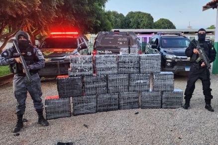 No total,  foram encontrados 15 fardos contendo 492,9 kg de cloridrato de cocana