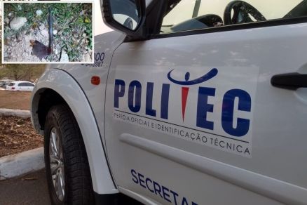 Jovem  assassinado com golpes de machadinha em MT