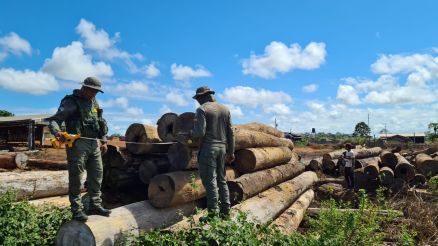 Operao Amaznia fiscaliza madeireiras em Colniza