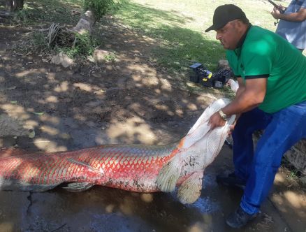 Gean Carlos posando ao lado de peixe pescado em tanque de Cuiab 