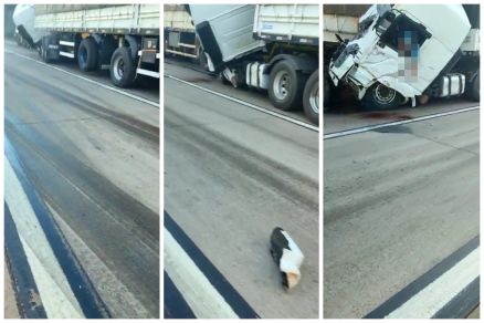 Edivaldo Francisco Jnior foi assassinado dentro da cabine da carreta