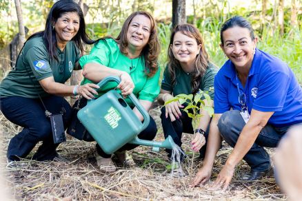 SESP e Sema atuam em conjunto para recupera��o de nascente degradada no Centro Pol�tico Administrativo