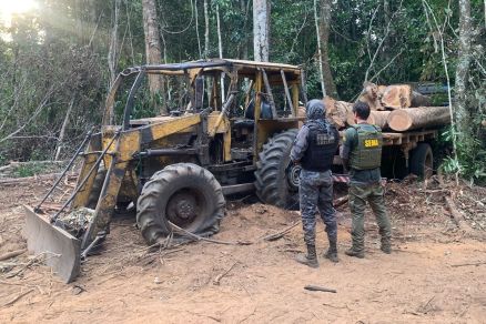 Veculos apreendidos com madeira ilegal durante operao 