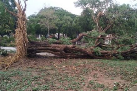 Temporal deixou estragos na Capital