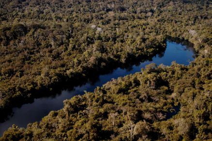 A ao conta com meios de incentivo para participao plena de pesquisadores residentes em estados da Amaznia Legal