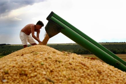O milho foi o produto mais exportado pelos novos mercados