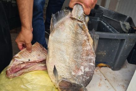 No local foram encontradas diversas irregularidades