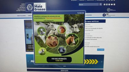No site da autarquia, em Sanidade Animal,  possvel encontrar outras informaes sobre a campanha