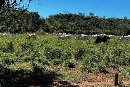 Uma das propriedades rurais adquiridas pelo criminoso em MT