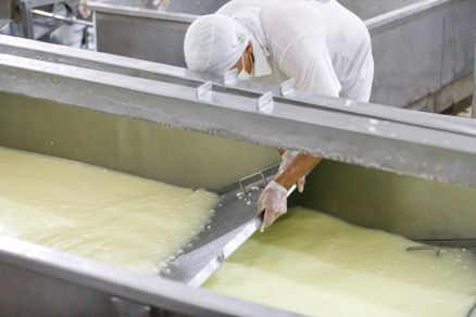 Foram definidos critrios para a manipulao e o beneficiamento de produtos de origem animal, abrangendo leite, carnes, ovos, pescado e mel