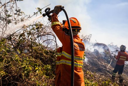 Em Mato Grosso, so 51 focos de calor registrados no sbado