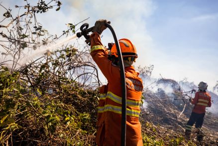 Contratao  para 150 brigadistas florestais temporrios
