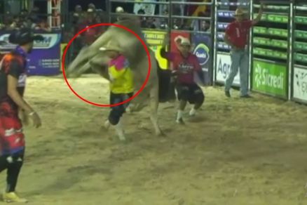O momento em que a vtima  atingida pelo touro