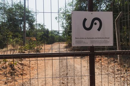 O SEB (Santu�rio de Elefantes Brasil), em Chapada dos Guimar�es