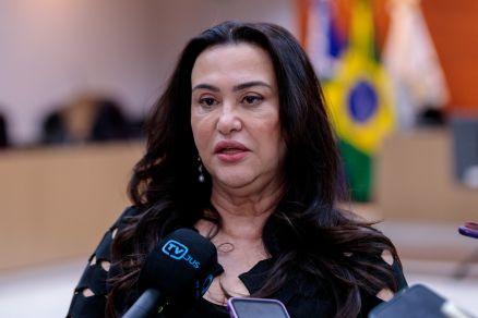 A desembargadora Anglizey Solivan de Oliveira, relatora do processo