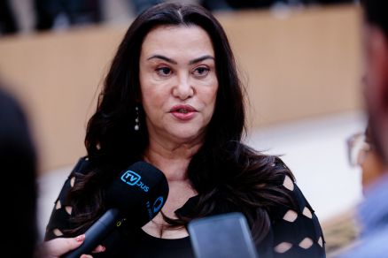 A desembargadora Anglizey Solivan de Oliveira, que assina a decis�o 