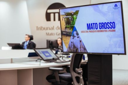 Conselheiro-relator, Waldir Teis, apresentou a anlise das contas em vdeo e slides
