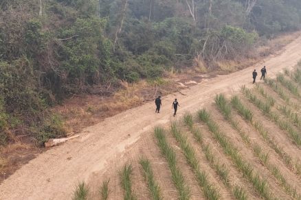 Local das buscas realizadas pela Polcia Civil nesta quinta